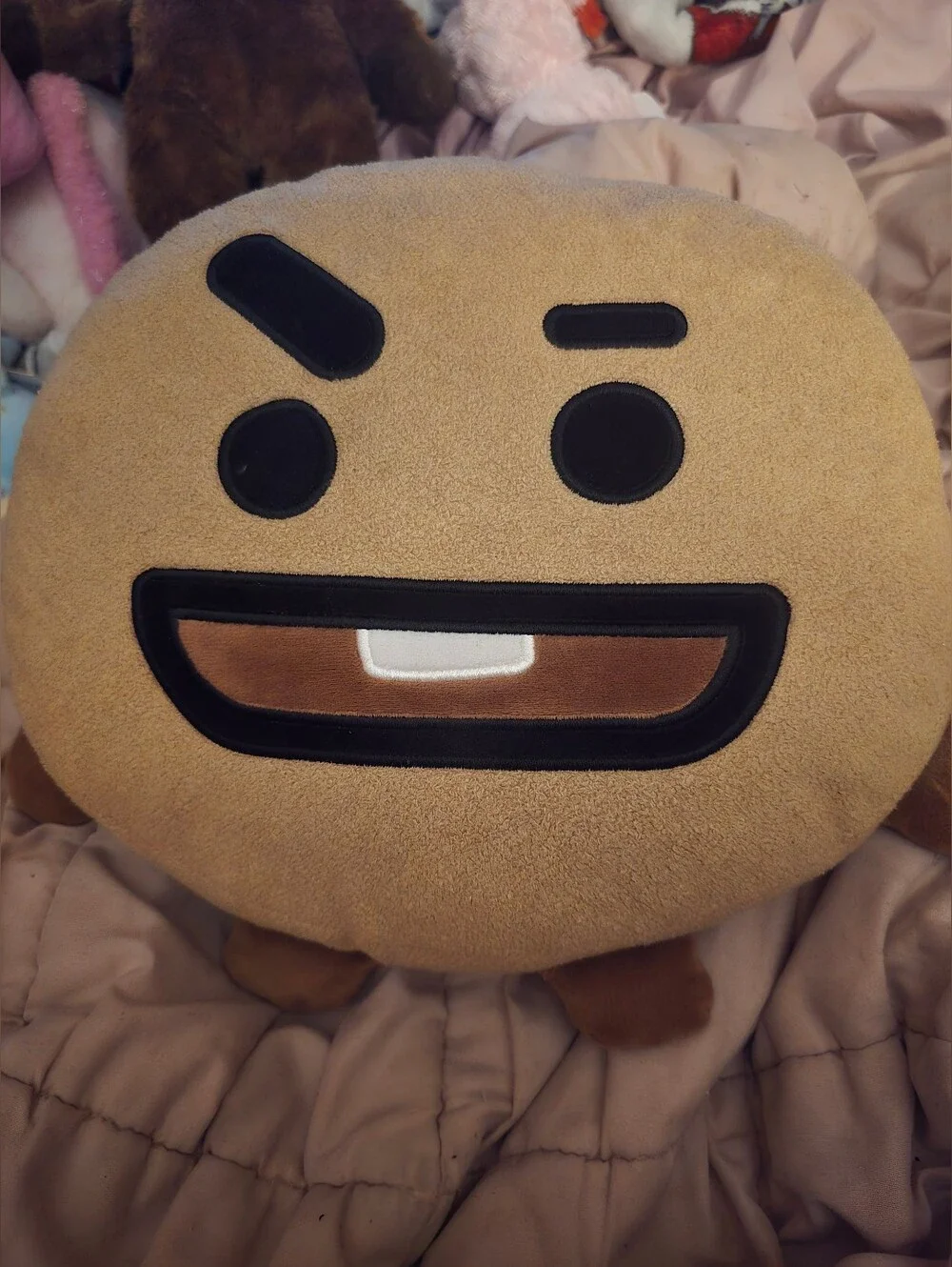 Shooky BT21 Plush Pillow